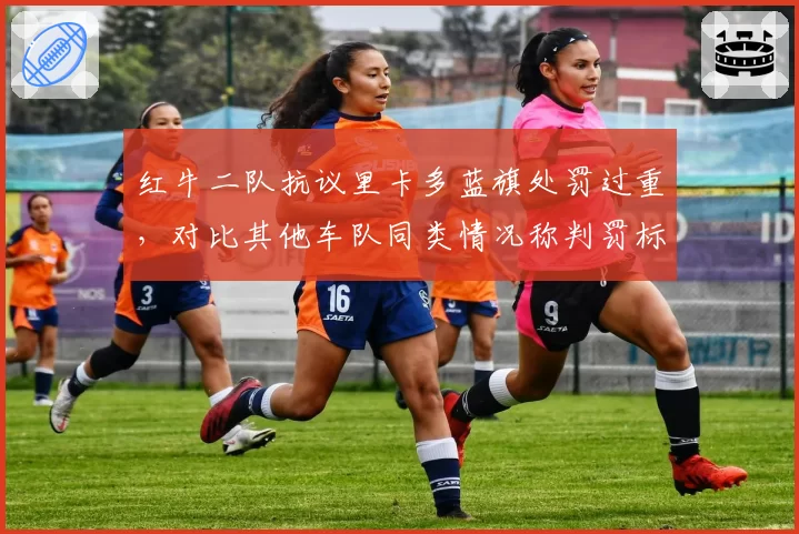 红牛二队抗议里卡多蓝旗处罚过重,对比其他车队同类情况称判罚标准双重