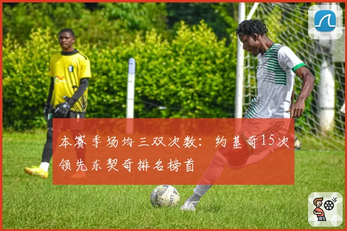 本赛季场均三双次数:约基奇15次领先东契奇排名榜首